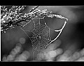Picture Title - Hold on life...