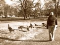 Picture Title - Playin with the birds..