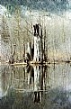 Picture Title - Tree trunk reflection