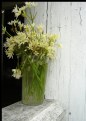 Picture Title - A Country Bouquet of Weeds :)