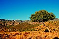 Picture Title - Blue Skies of South Africa