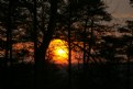 Picture Title - Mt. Sunrise