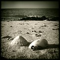 Picture Title - Sand and shells 2 for Syrie