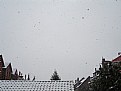 Picture Title - Snow