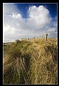 Picture Title - Beadnell Dunes