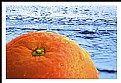 Picture Title - orange