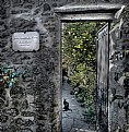 Picture Title - Giardino segreto, giardino d'amore.