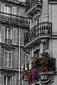 Picture Title - Flowers in Paris