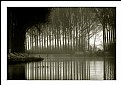 Picture Title - Canal & Trees