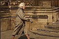 Picture Title - The chameleon coat