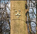 Picture Title - Tree face