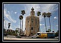 Picture Title - torre del oro