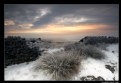 Picture Title - Snow on White Edge