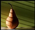 Picture Title - Kissed By Light (Bosc Pear Still Life)