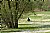 Solitudine