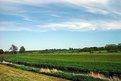 Picture Title - England in Spring