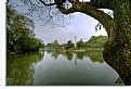 Picture Title - Dusit Lake