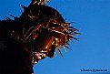 Picture Title - Jesus de Candelaria2