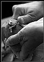 Picture Title -  My project "Hands"