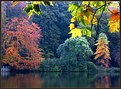 Picture Title - Colorful fall morning