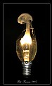 Picture Title - light bulb