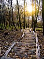 Picture Title - Steps at Sunset