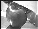 Picture Title - Apple