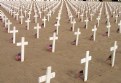 Picture Title - Easter Crosses