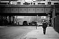 Picture Title - coming back to Harlem