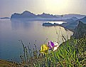 Picture Title - complete rest
