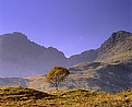 Picture Title - Skye Birch Moonrise