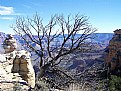 Picture Title - Grand Canyon