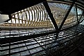 Picture Title - Forum