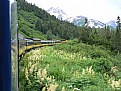 Picture Title - Arc of Alaskan Rail 
