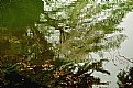 Picture Title - Reflections with an impressionistic touch
