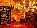 Picture Title - Meet Jack and Chivas