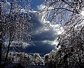 Picture Title - Ice Storm