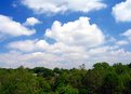 Picture Title - Beautiful Day