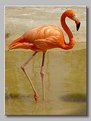 Picture Title - FLAMINGO