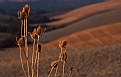 Picture Title - assalto alla val d'Orcia