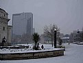 Picture Title - Late Snow (6)