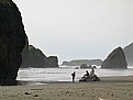 Picture Title - Near Pistol River