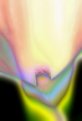 Picture Title - Cala Lily Fantasy