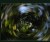 Into the Vortex