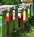 Picture Title - arnie (beehives)