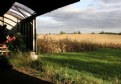 Picture Title - Shed, Roof, Field