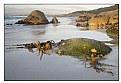 Picture Title - Morning at the Beach