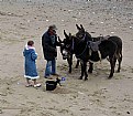 Picture Title - Beach Scene