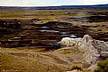 Picture Title - painted desert 2