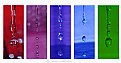 Picture Title - My drops